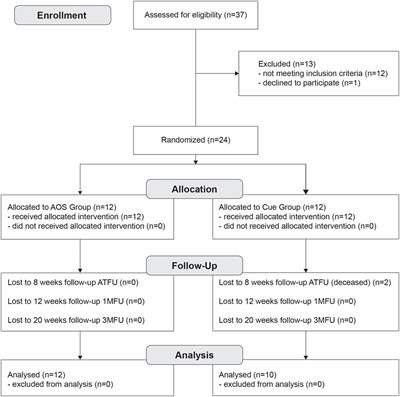 Action Observation Plus Sonification. A Novel Therapeutic Protocol for Parkinson’s Patient with Freezing of Gait